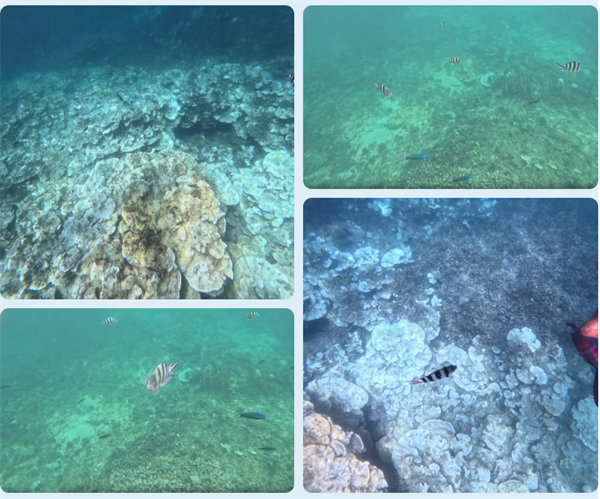 風雨兼程二十載，馬來之旅續(xù)新篇&mdash;&mdash;2024年博皓沙巴風情之旅     -6