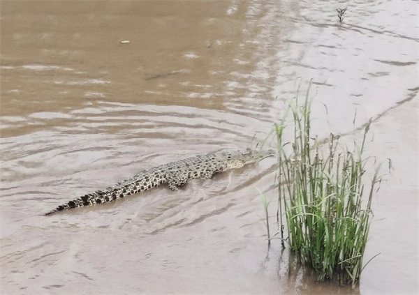 廿載風(fēng)云一路行，馬來(lái)風(fēng)情共見證&mdash;&mdash;2024廣東博皓馬來(lái)西亞之旅   -15